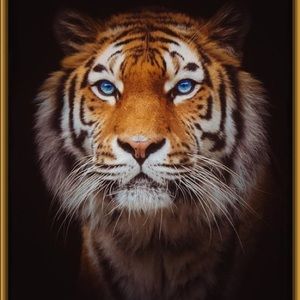 Meet your Posher, Jean